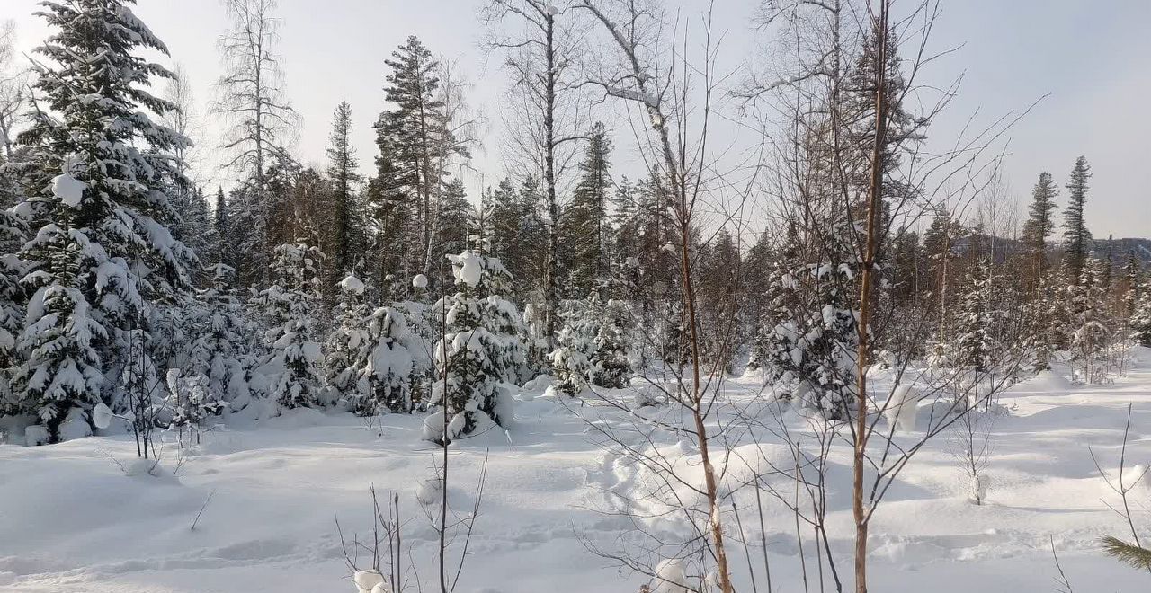 земля р-н Турочакский с Верх-Бийск ул Школьная Турочак фото 2