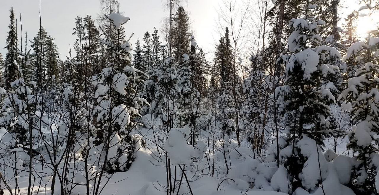 земля р-н Турочакский с Верх-Бийск ул Школьная Турочак фото 8