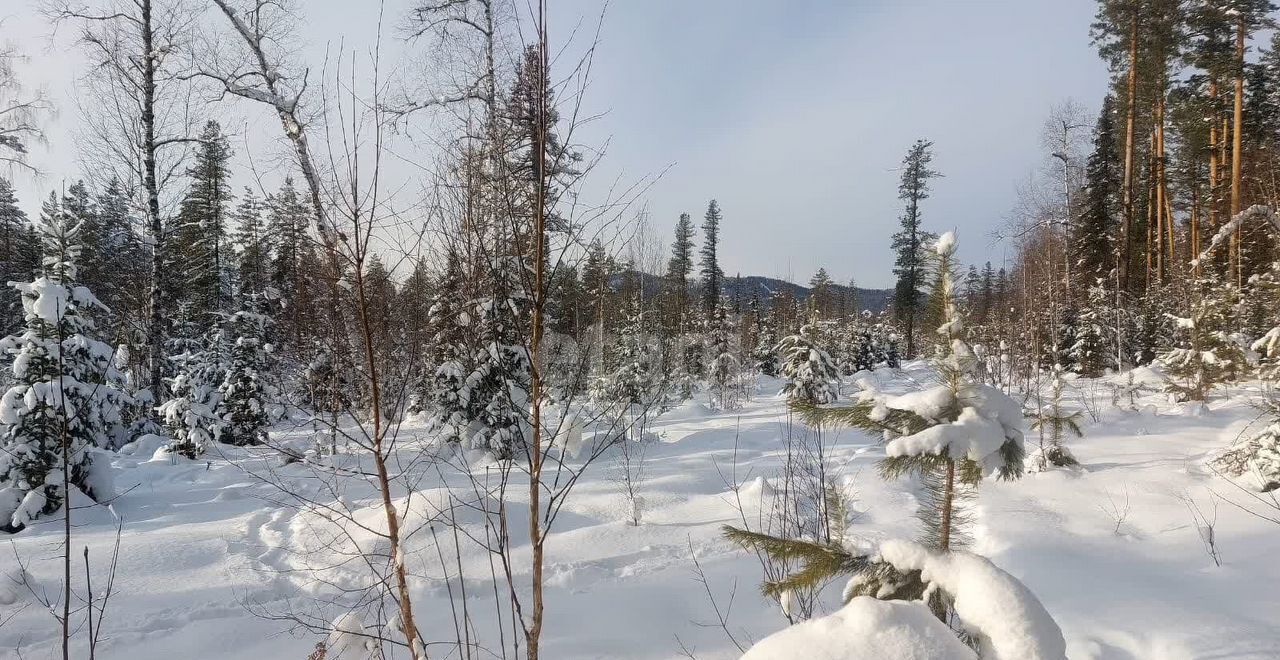 земля р-н Турочакский с Верх-Бийск ул Школьная Турочак фото 7