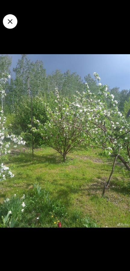 дом р-н Павловский снт Нектар Павловск фото 12