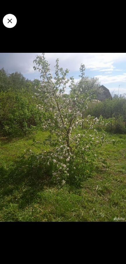 дом р-н Павловский снт Нектар Павловск фото 11