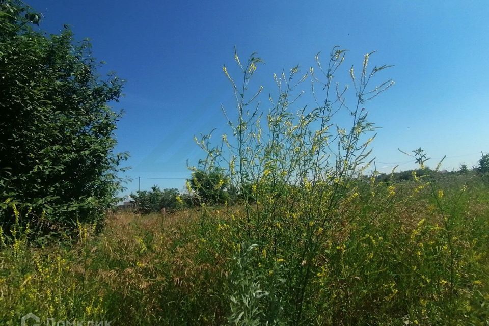 земля городской округ Абакан, СОСН Ташеба-Надежда, Карьерная улица, 12 фото 8