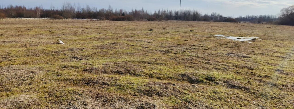 земля р-н Новгородский д Неронов Бор Ракомское сельское поселение фото 1