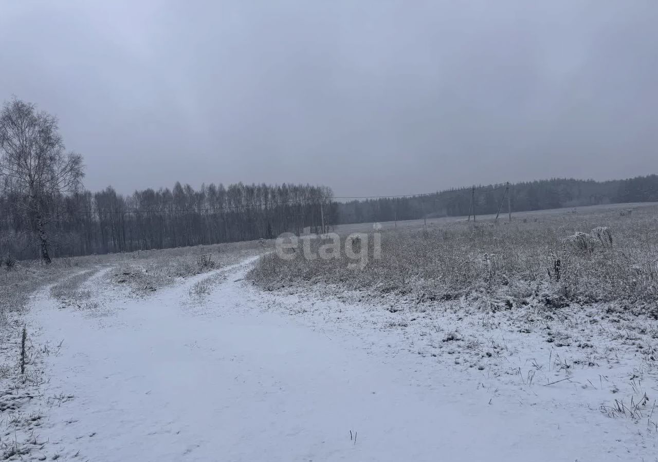 земля р-н Балахнинский г Балахна фото 3