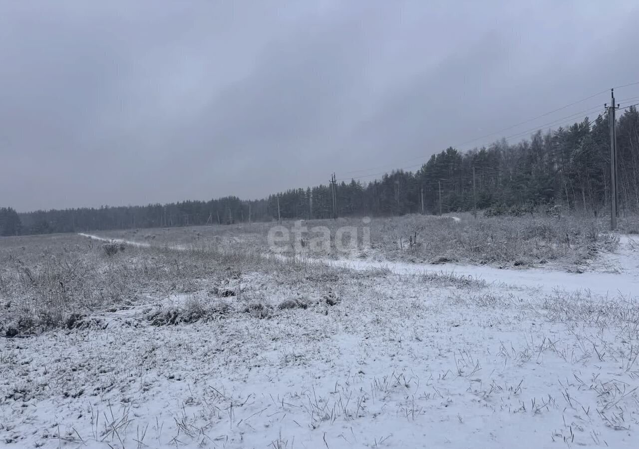 земля р-н Балахнинский г Балахна фото 5