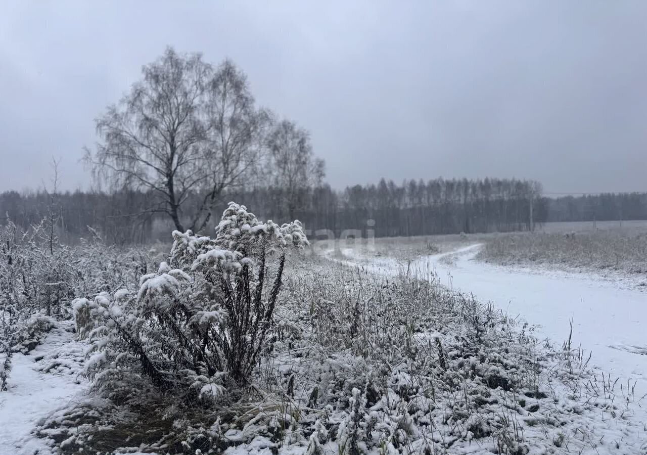 земля р-н Балахнинский г Балахна фото 2