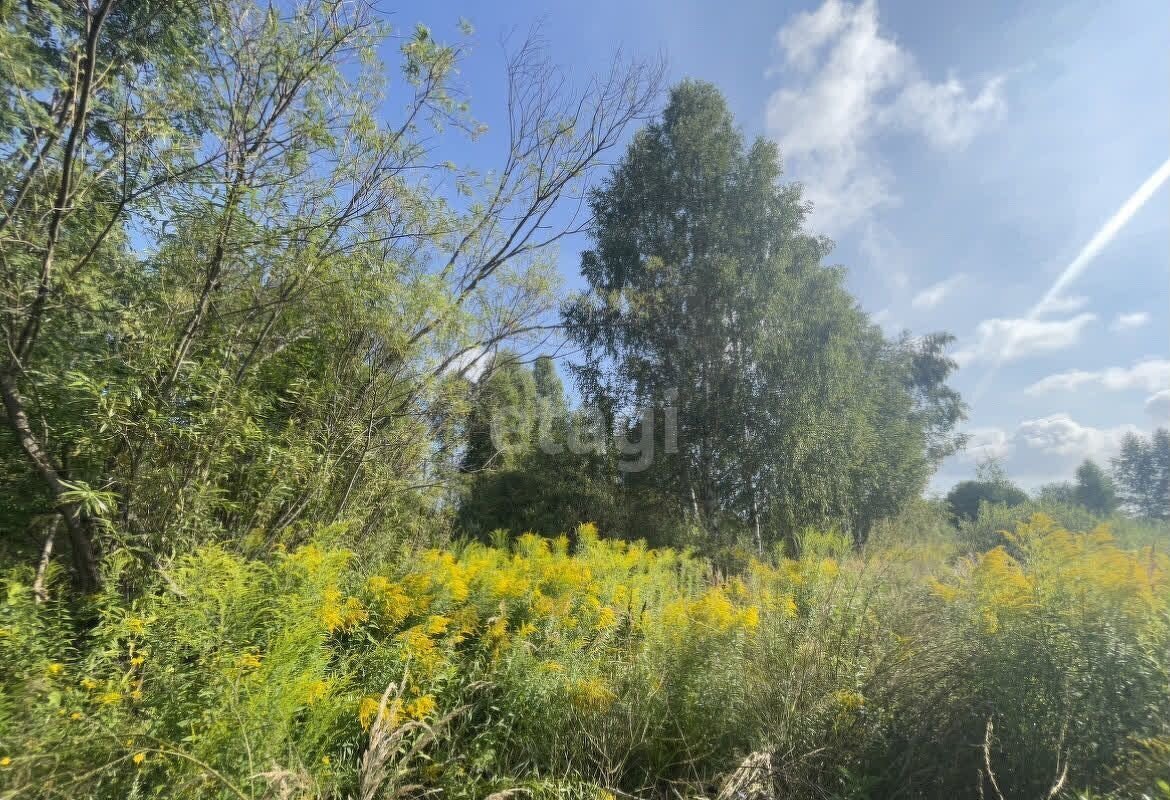 земля р-н Богородский д Оринкино Богородск фото 1