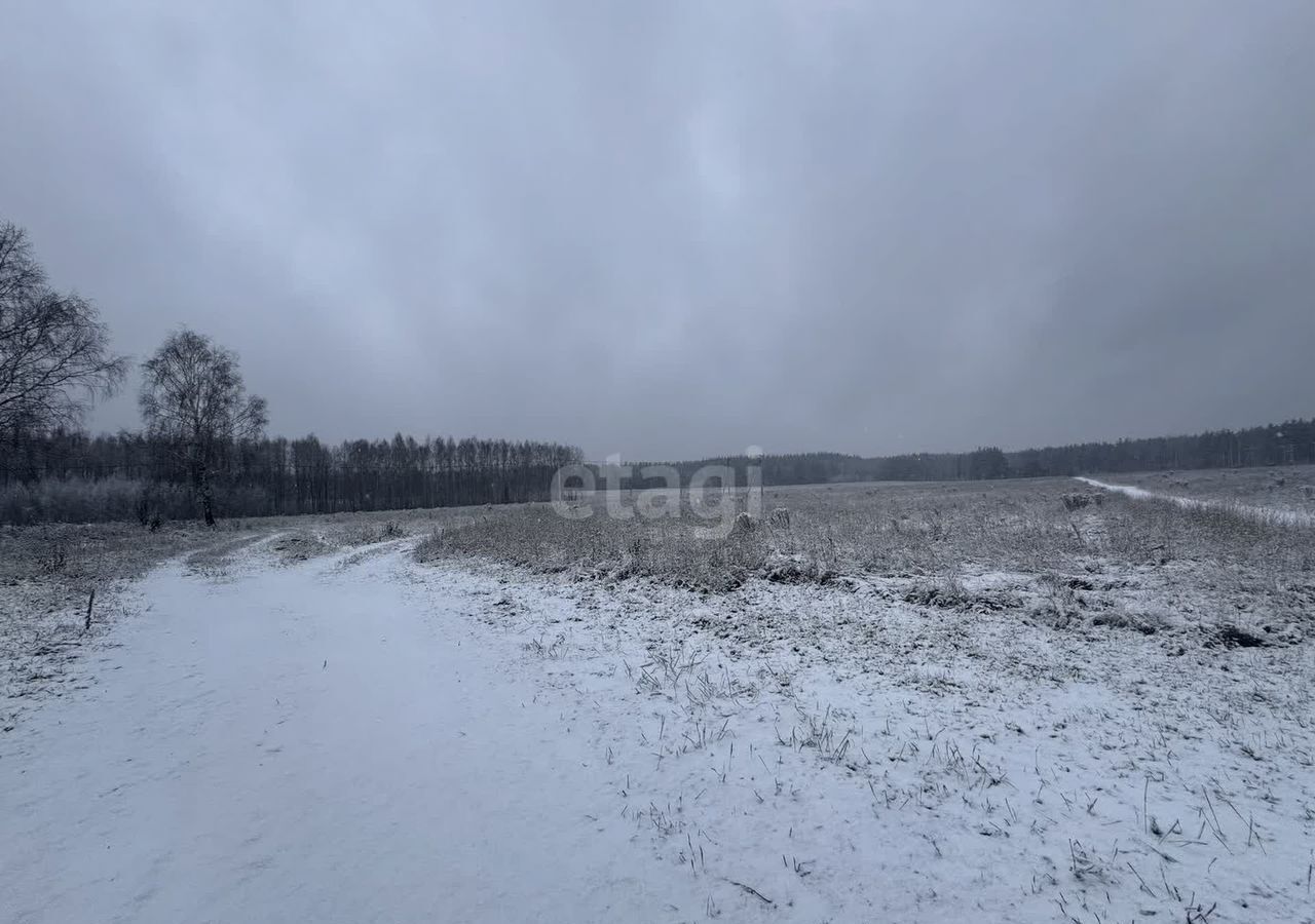 земля р-н Балахнинский г Балахна фото 9