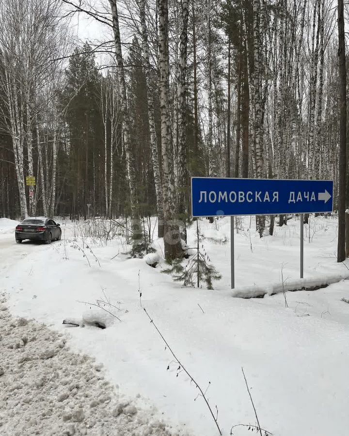 земля р-н Новосибирский тер. ДНТ Царская Усадьба Кубовинский сельсовет, Новосибирск фото 7