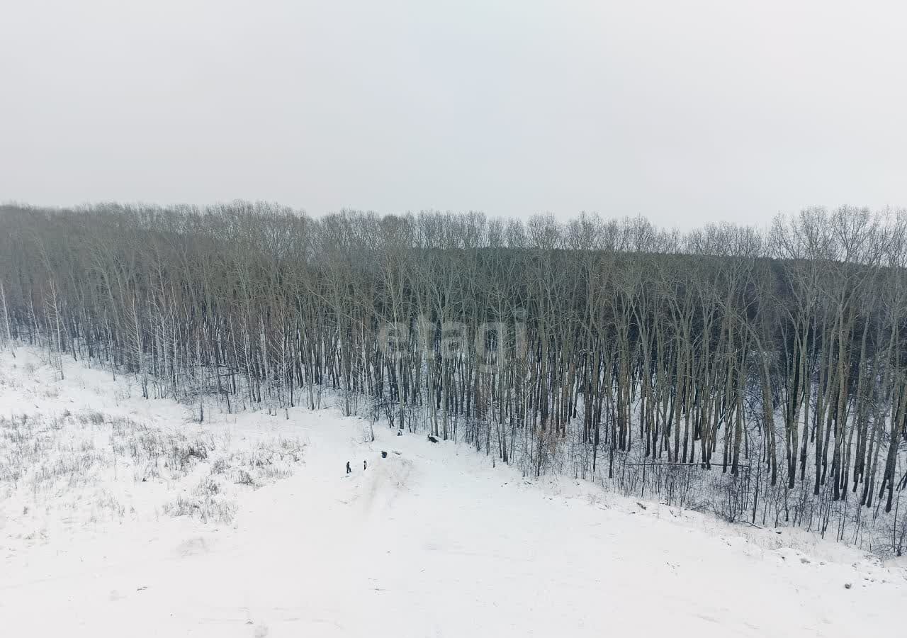 квартира г Новосибирск р-н Кировский ул Александра Чистякова 22/1 ЖК «Акварельный 3.0» фото 18