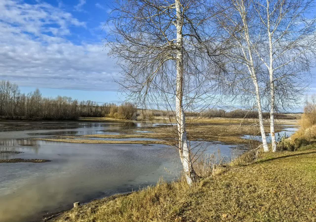 земля р-н Новосибирский снт Зеленая Поляна Кубовинский сельсовет, Колывань фото 17