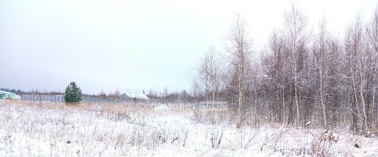 земля городской округ Павловский Посад пос. ЛПХ Алешкино, 174 фото 1