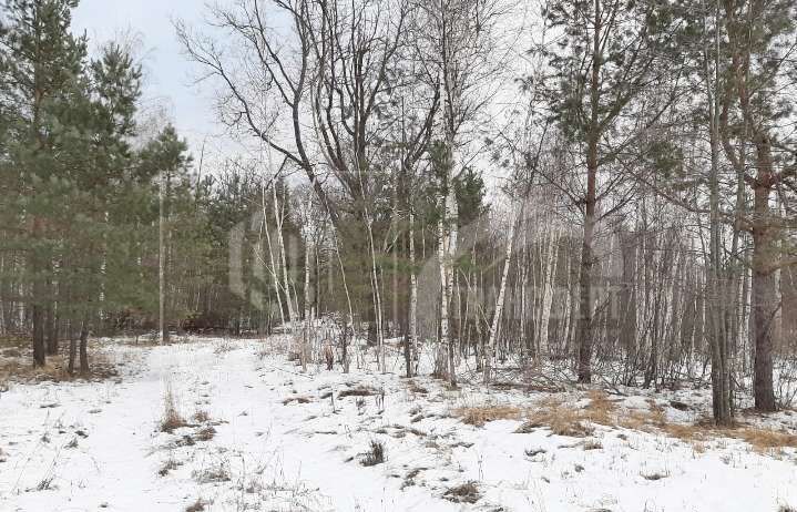 земля р-н Рамонский рп Рамонь ул Ю.Фучика 8а Рамонское городское поселение фото 9