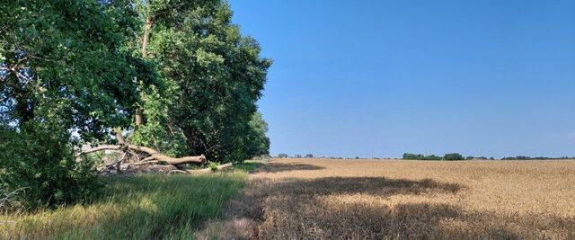 земля снт Северные Сады потребительский садово-огороднический кооператив фото