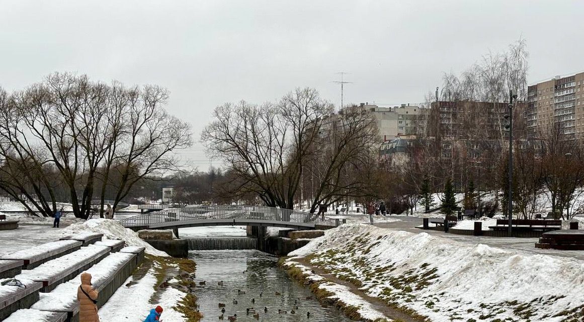 квартира г Москва метро Бульвар Дмитрия Донского ул Ратная 12к/1 муниципальный округ Северное Бутово фото 39