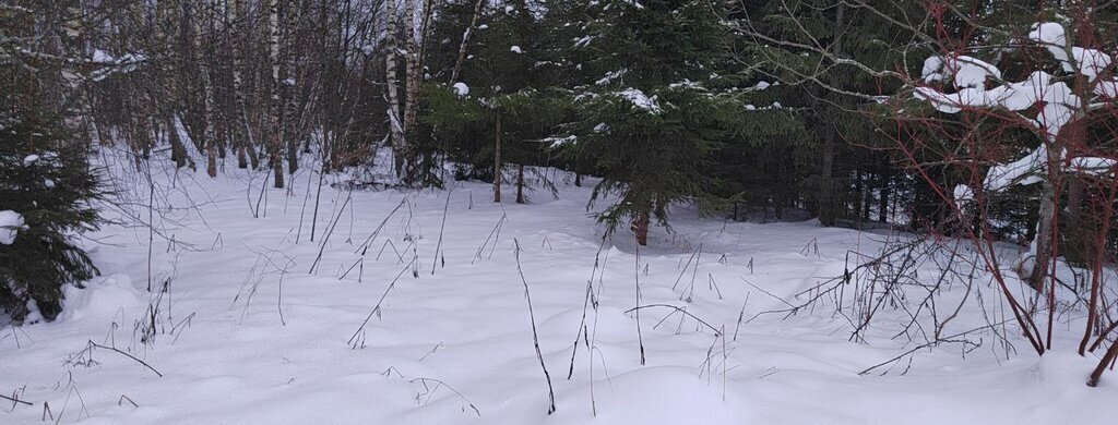 земля городской округ Одинцовский территориальное управление Ершовское фото 1