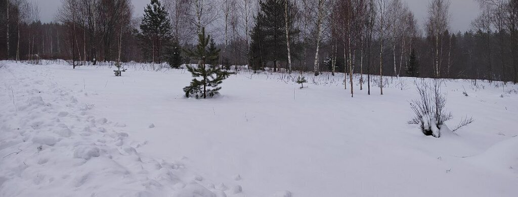 земля городской округ Одинцовский территориальное управление Ершовское фото 3