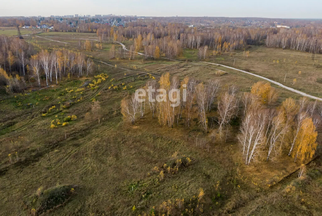 земля р-н Колыванский п Паутовский сельсовет фото 8