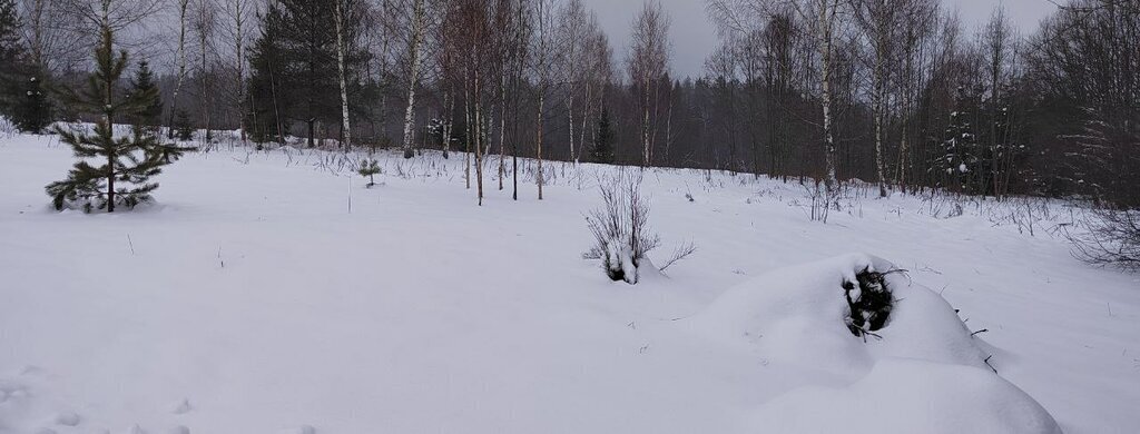 земля городской округ Одинцовский территориальное управление Ершовское фото 6