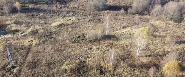 городской округ Волоколамский д Чернево фото