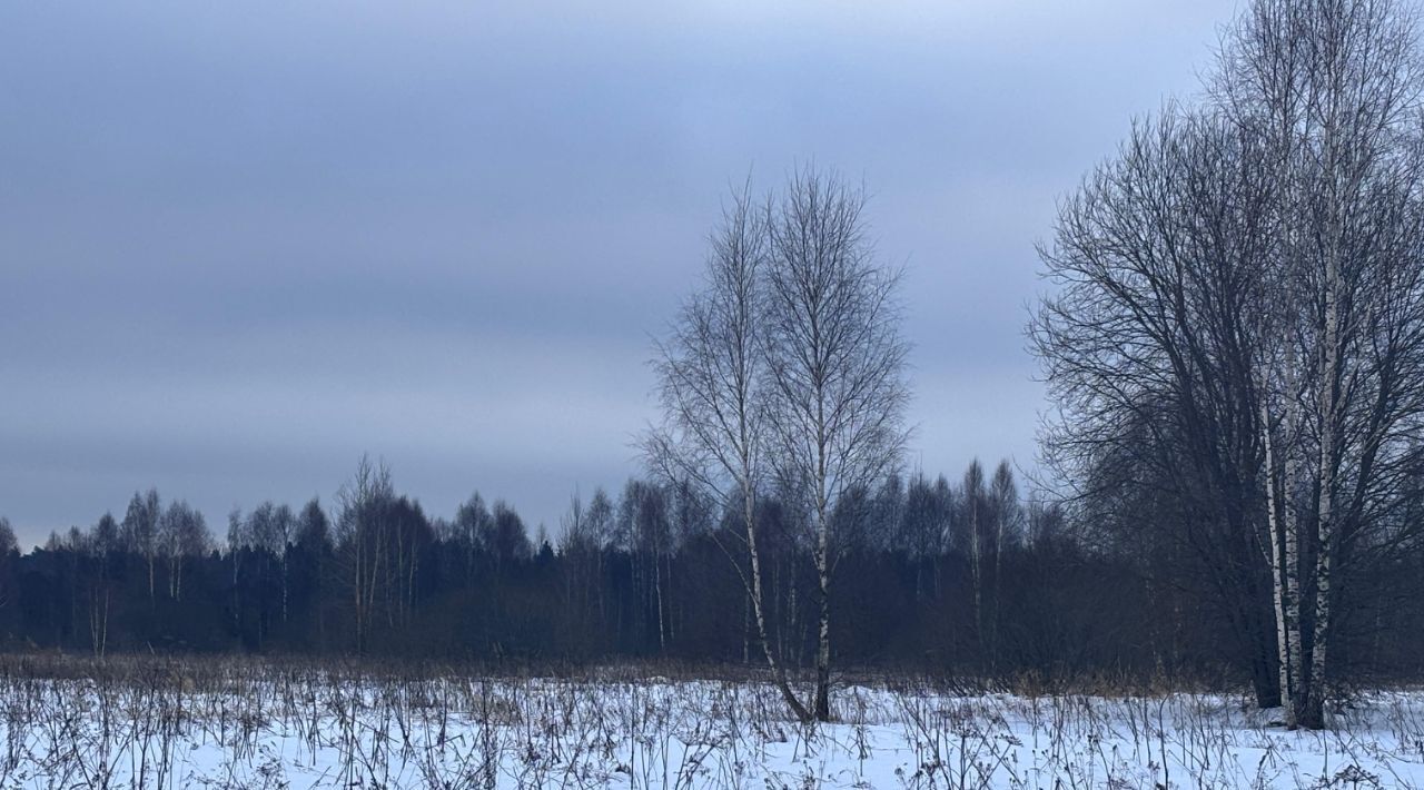 офис городской округ Клин д Орлово фото 2