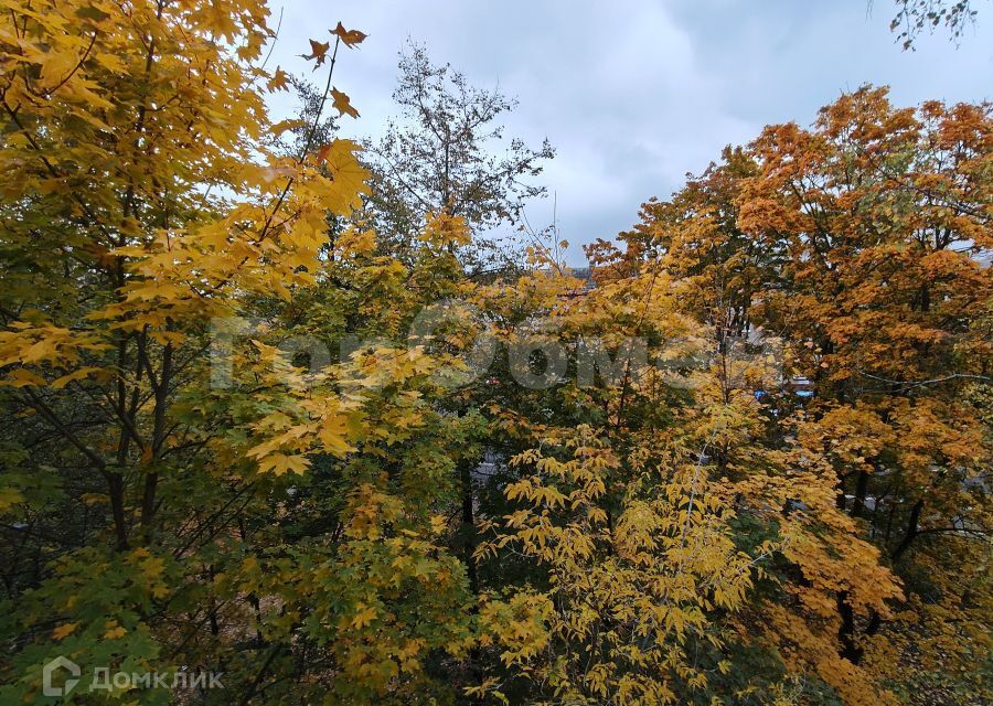 квартира г Электросталь ул Победы 10/1 Электросталь городской округ фото 4