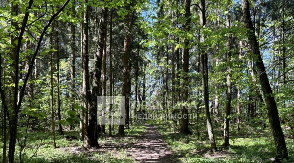 дом городской округ Одинцовский д Щедрино Толстопальцево, 134 фото 42