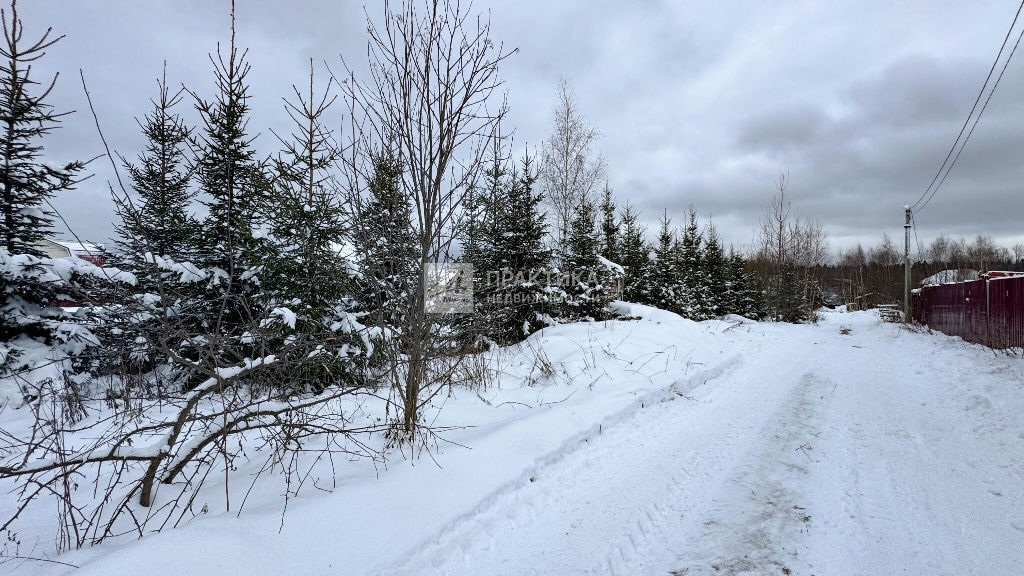 земля городской округ Мытищи с Марфино Марфино с. Московская ул фото 2