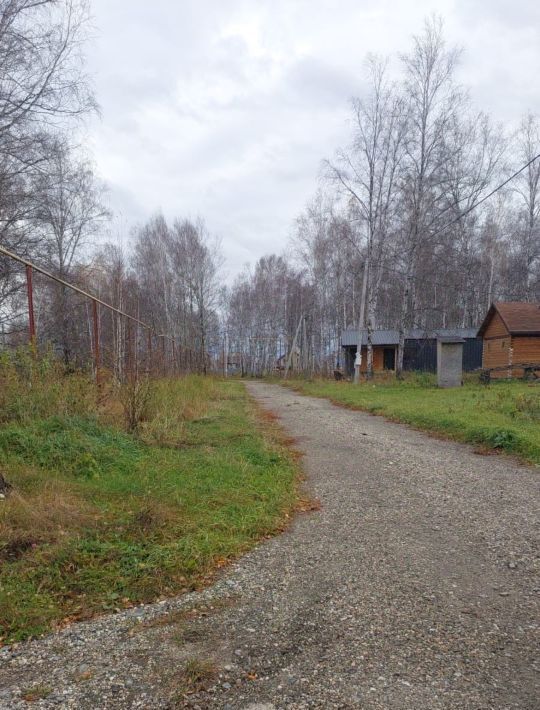 земля р-н Новосибирский с Марусино Криводановский сельсовет фото 2