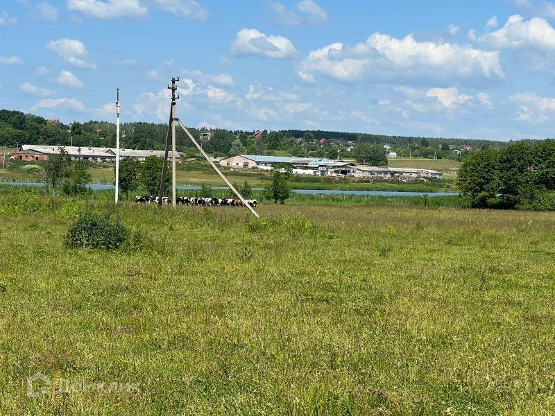 земля р-н Богородский сельский посёлок Майоровка, Майоровская улица фото 1