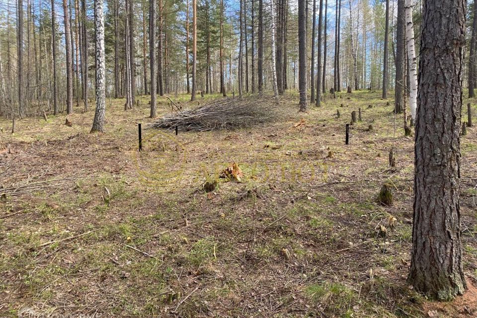 земля городской округ Дегтярск, Дегтярск фото 1