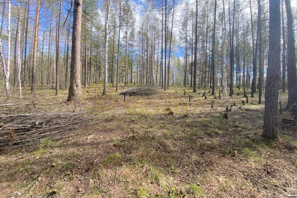 земля городской округ Дегтярск, Дегтярск фото 2