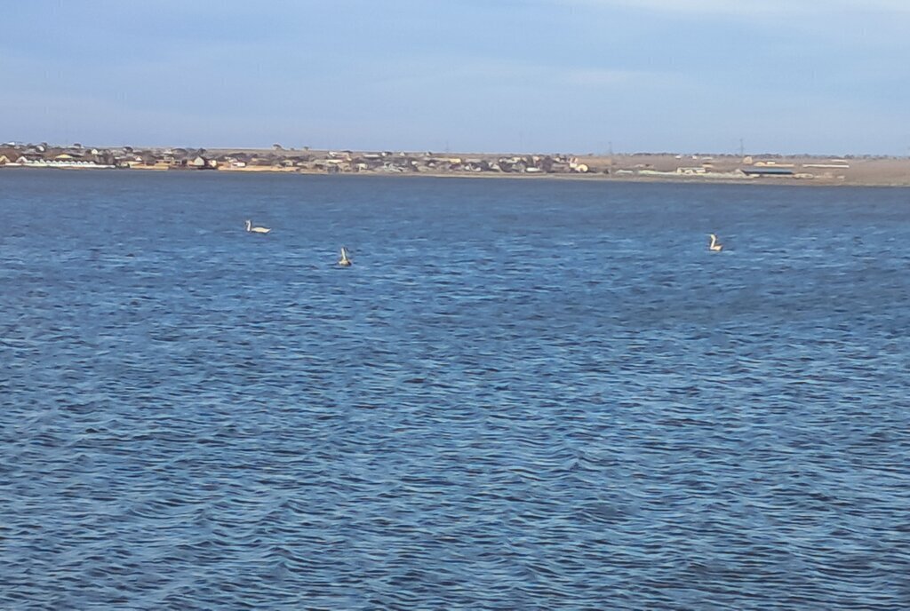 земля р-н Черноморский с Межводное Центральная площадь фото 1