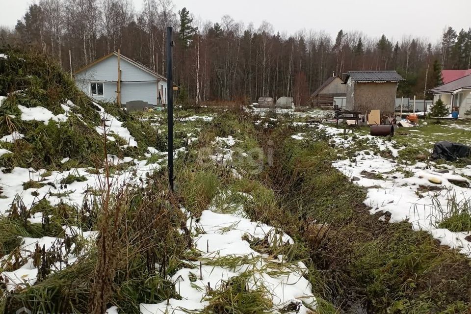 земля р-н Прионежский село Деревянное фото 7