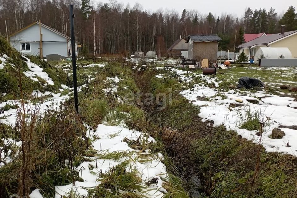 земля р-н Прионежский село Деревянное фото 8