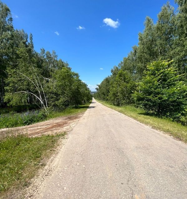 земля р-н Богородский сельский посёлок Майоровка, Майоровская улица фото 6