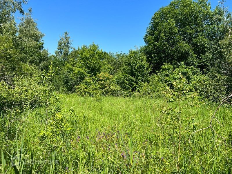 земля р-н Богородский сельский посёлок Майоровка, Майоровская улица фото 7