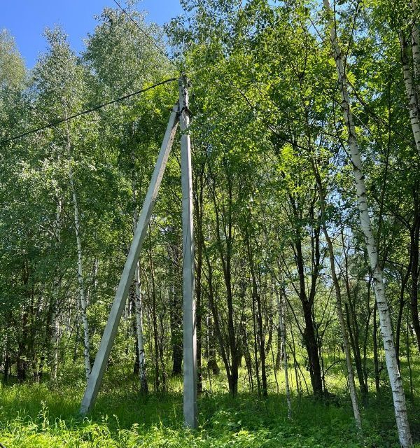 земля р-н Богородский сельский посёлок Майоровка, Майоровская улица фото 9