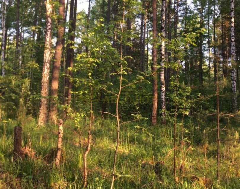 земля городской округ Дегтярск, Дегтярск фото 5