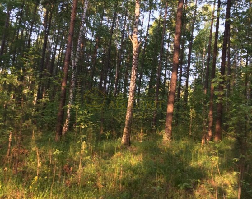 земля городской округ Дегтярск, Дегтярск фото 8