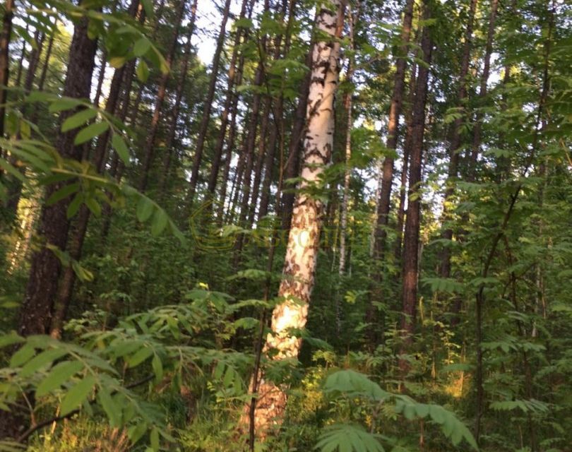 земля городской округ Дегтярск, Дегтярск фото 10