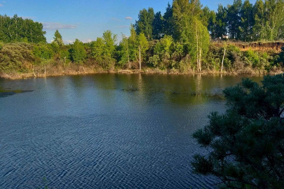 земля городской округ Омск, территория СОСН Строитель-3, 17 фото 8