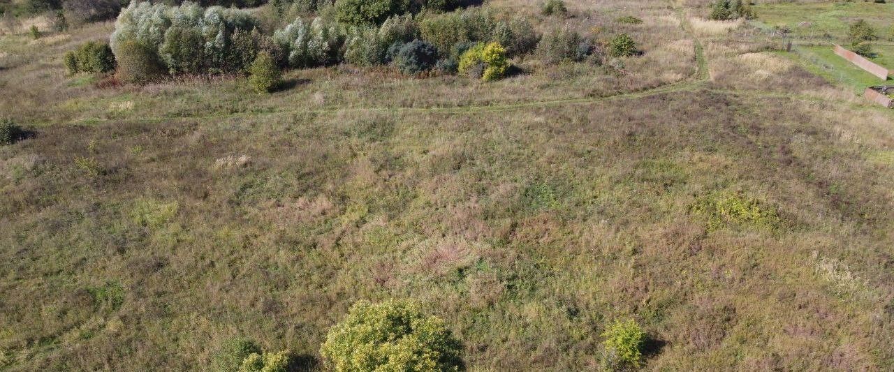 офис городской округ Волоколамский д Чернево фото 3