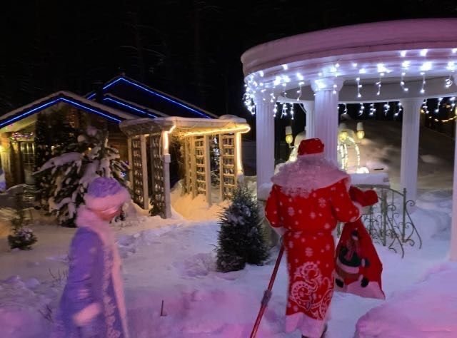 дом городской округ Дмитровский Плес садовое товарищество, 95 фото 2