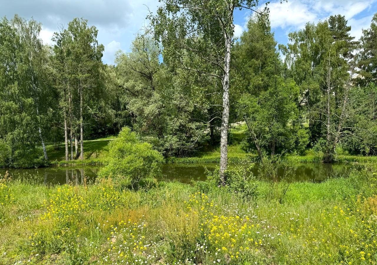 земля городской округ Одинцовский г Звенигород 49 км, с. Андреевское, Минское шоссе фото 2