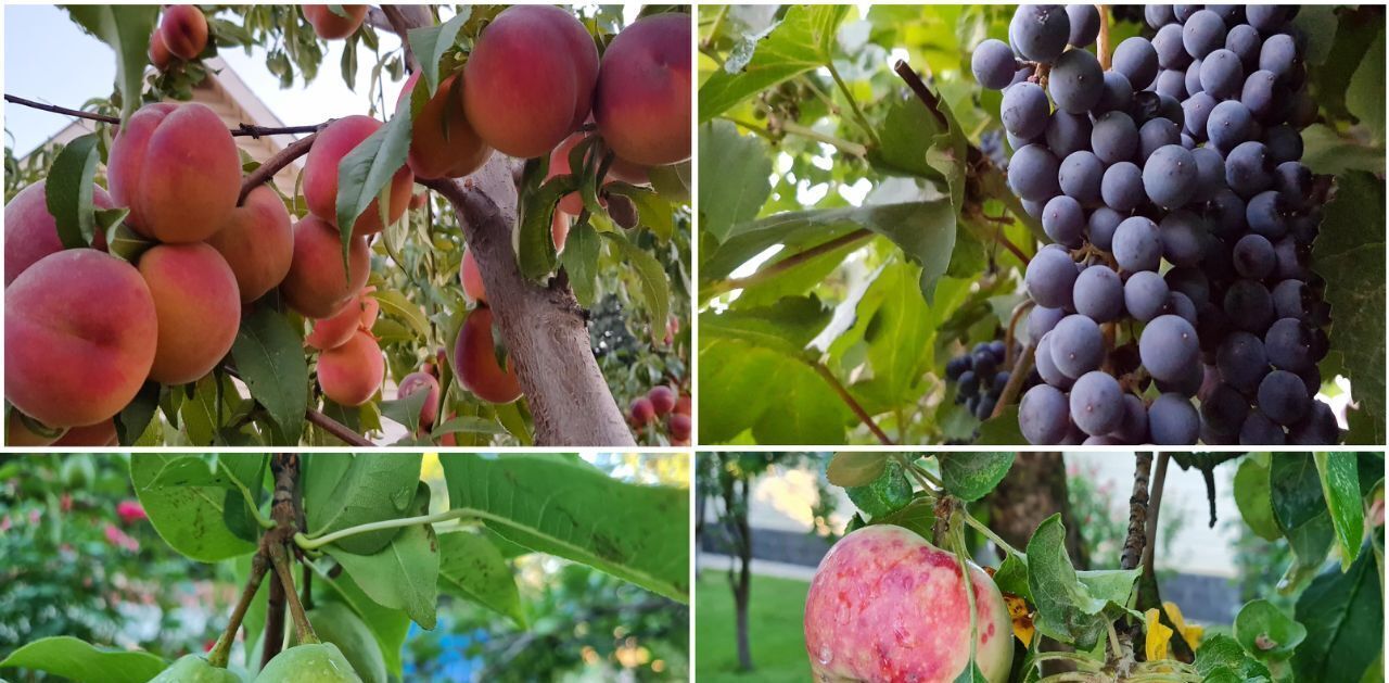 дом р-н Камызякский п Кировский городское поселение Кировский фото 19