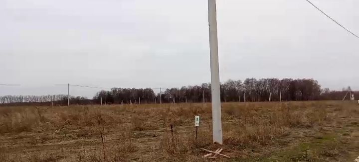 земля р-н Рязанский п Мурмино Вышгородское сельское поселение, КП Кораблино-берег, 39 фото 7