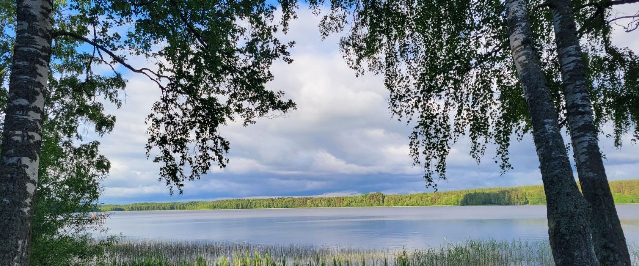 дом р-н Выборгский Приморское городское поселение, Гармония СНТ фото 28