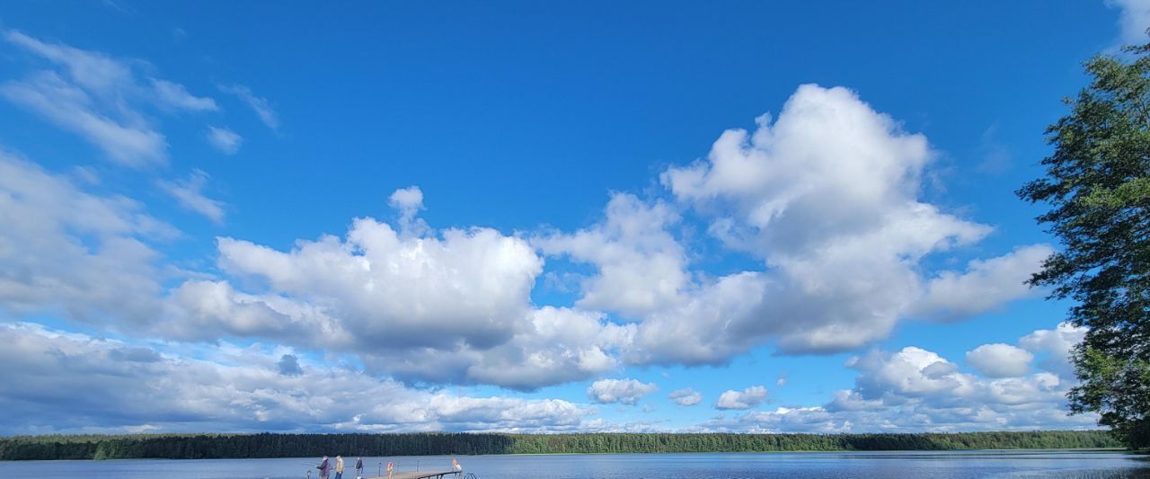 дом р-н Выборгский Приморское городское поселение, Гармония СНТ фото 33