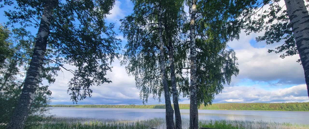 дом р-н Выборгский Приморское городское поселение, Гармония СНТ фото 29